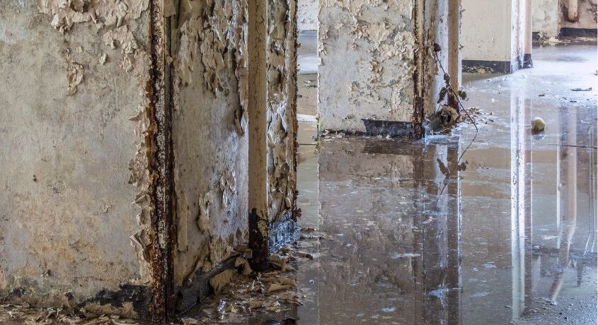 water damage restoration charlotte