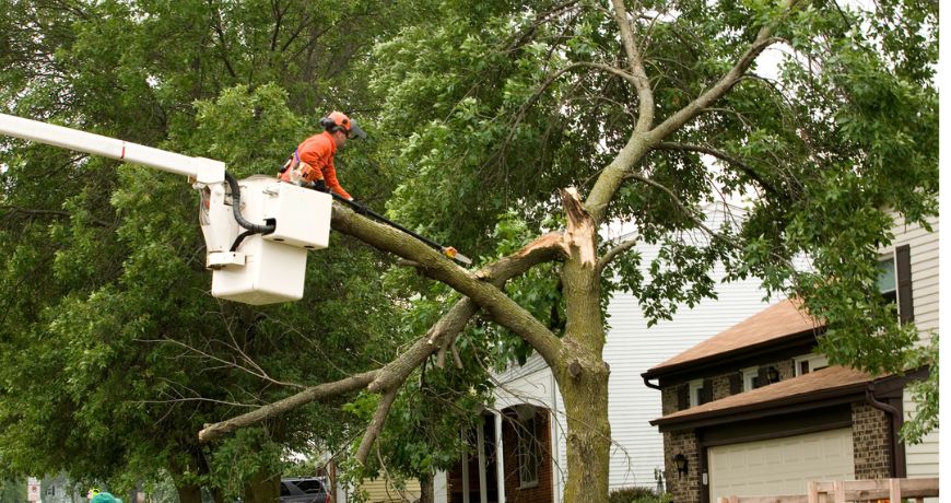 team member working on storm damage repair in charlotte nc